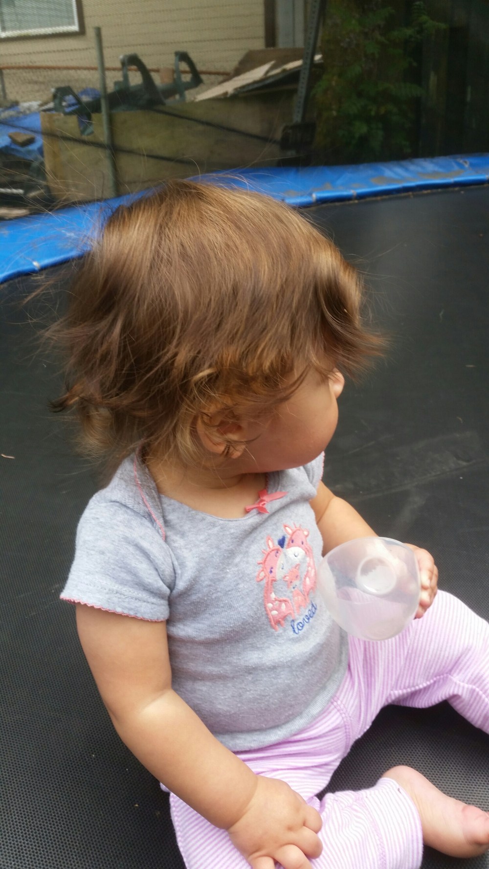 20150904_132100.jpg image