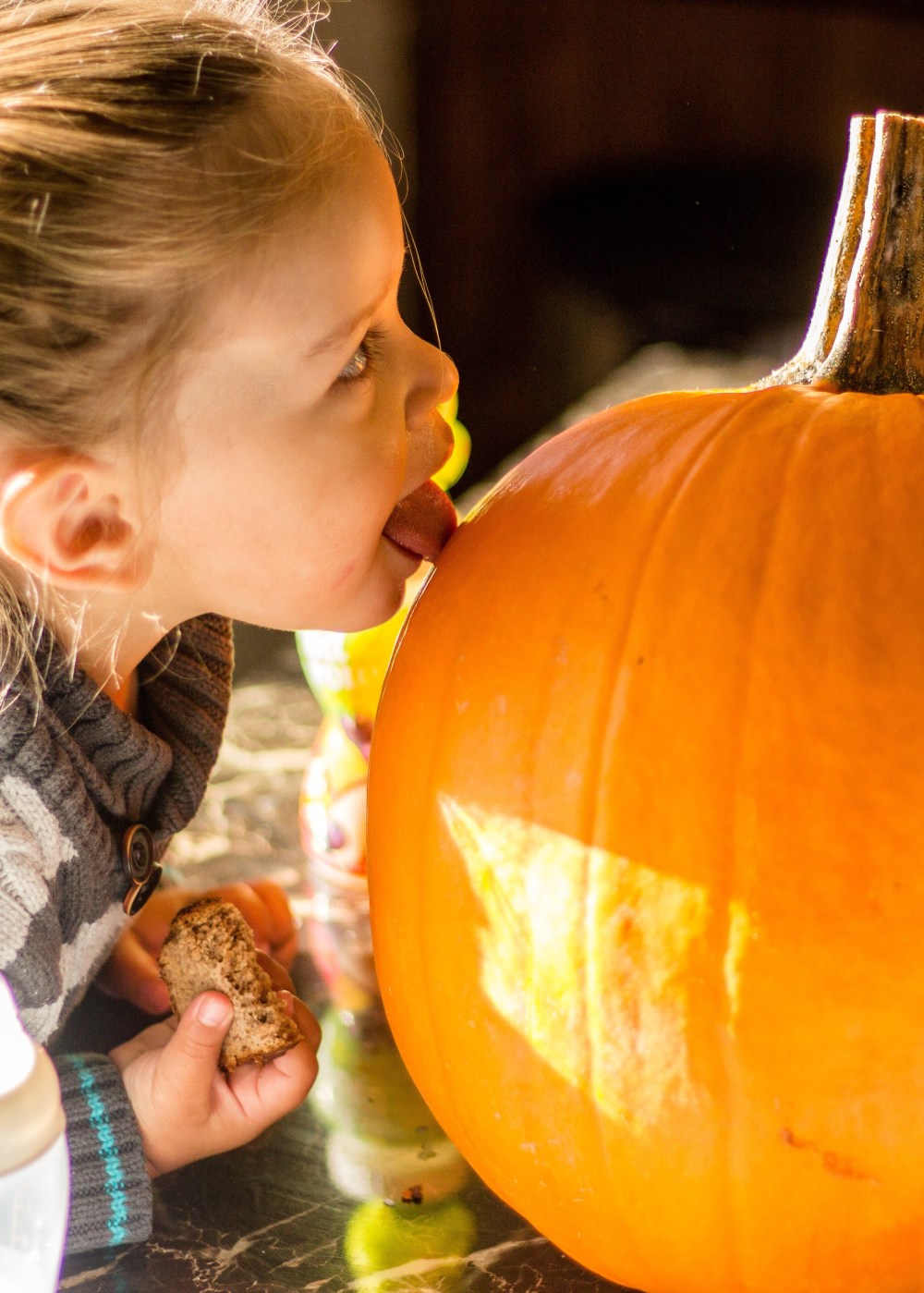 0a9d0078-8cbb-446d-b29f-f7809b7a1720